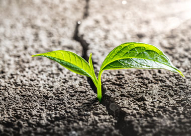 The Best: 12 лучших статей о малом бизнесе на Biz360.ru в марте 2026 года